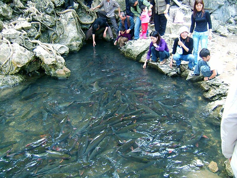 Sổ tay du lịch so tay du lich Sotaydulich Sotay Dulich Khampha Kham Pha Bui Tour Ha Noi Suoi ca than Cam Luong Sam Son