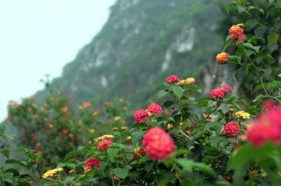 Sổ tay du lịch so tay du lich Sotaydulich Sotay Dulich Khampha Kham Pha Bui Thuong ngoan canh dep Da giang