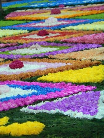 Sổ tay du lịch so tay du lich Sotaydulich Sotay Dulich Khampha Kham Pha Bui Tham hoa sinh dong o nha tho Arundel
