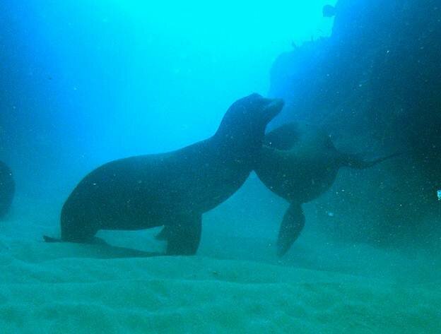 Sổ tay du lịch so tay du lich Sotaydulich Sotay Dulich Khampha Kham Pha Bui Tour di lan o Cabo San Lucas