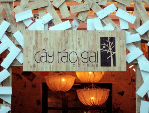 Sổ tay du lịch so tay du lich Sotaydulich Sotay Dulich Khampha Kham Pha Bui Cafe cay Tao Gai