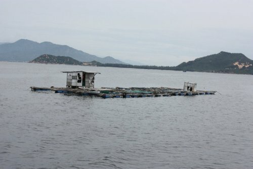Sổ tay du lịch so tay du lich Sotaydulich Sotay Dulich Khampha Kham Pha Bui Vuot song gio ra dao Binh Da 
