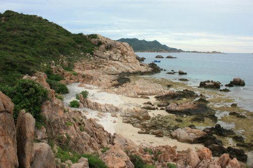 Sổ tay du lịch so tay du lich Sotaydulich Sotay Dulich Khampha Kham Pha Bui Vuot song gio ra dao Binh Da 