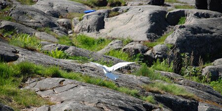 Sổ tay du lịch so tay du lich Sotaydulich Sotay Dulich Khampha Kham Pha Bui Dao Suomenlinna di san tiem an