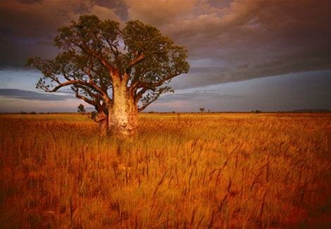 Sổ tay du lịch so tay du lich Sotaydulich Sotay Dulich Khampha Kham Pha Bui Hoang so thao nguyen