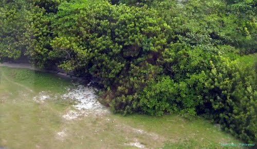 Sổ tay du lịch_sổ tay_du lịch_so tay du lich_so tay_du lich_sotaydulich_sotay_dulich_biển đảo Việt Nam_biển_hải đảo_vạn dặm_Trường Sa_Hoàng Sa_Trường Sa lớn_tranh chấp_quê hương