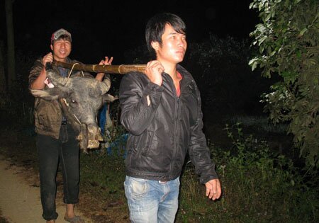 Sổ tay du lịch so tay du lich Sotaydulich Sotay Dulich Khampha Kham Pha Bui Thu tuc cuoi hoi cua nguoi Thai den