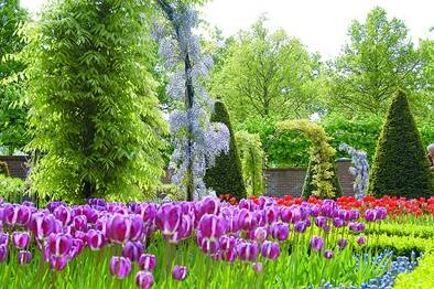 Sổ tay du lịch so tay du lich Sotaydulich Sotay Dulich Khampha Kham Pha Bui Kham pha vuong quoc tulip