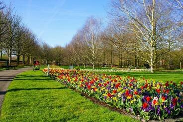 Sổ tay du lịch so tay du lich Sotaydulich Sotay Dulich Khampha Kham Pha Bui Kham pha vuong quoc tulip