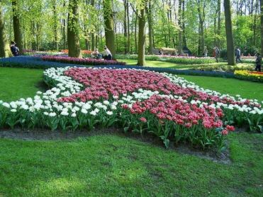 Sổ tay du lịch so tay du lich Sotaydulich Sotay Dulich Khampha Kham Pha Bui Kham pha vuong quoc tulip