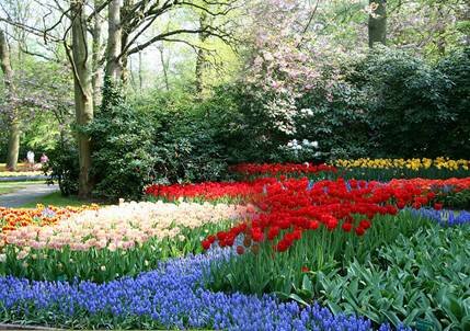 Sổ tay du lịch so tay du lich Sotaydulich Sotay Dulich Khampha Kham Pha Bui Kham pha vuong quoc tulip