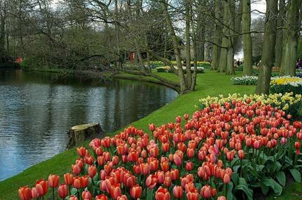 Sổ tay du lịch so tay du lich Sotaydulich Sotay Dulich Khampha Kham Pha Bui Kham pha vuong quoc tulip