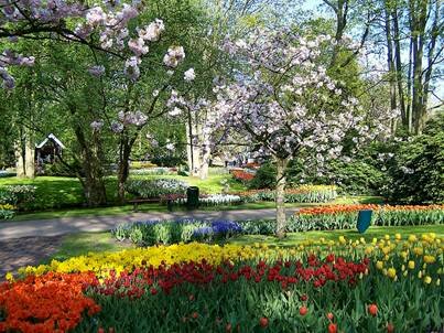 Sổ tay du lịch so tay du lich Sotaydulich Sotay Dulich Khampha Kham Pha Bui Kham pha vuong quoc tulip