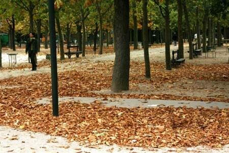 Sổ tay du lịch so tay du lich Sotaydulich Sotay Dulich Khampha Kham Pha Bui Sac thu ben vuon Luxembourg