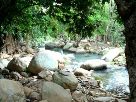 Sổ tay du lịch so tay du lich Sotaydulich Sotay Dulich Khampha Kham Pha Bui Suoi Lo O canh tien tren nui chua
