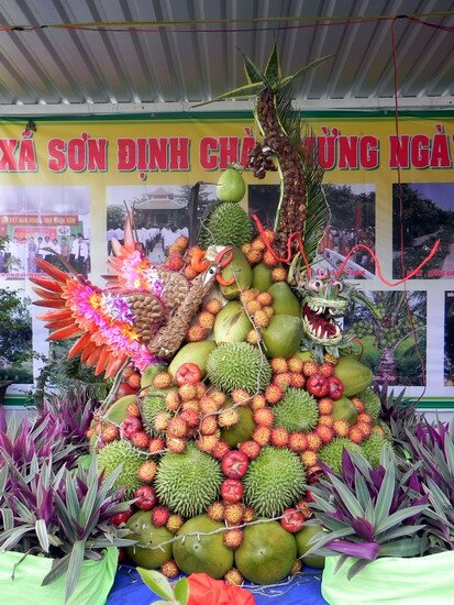Sổ tay du lịch so tay du lich Sotaydulich Sotay Dulich Khampha Kham Pha Bui Con Phung noi hoi tu trai cay mua he