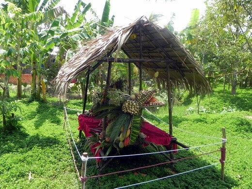 Sổ tay du lịch so tay du lich Sotaydulich Sotay Dulich Khampha Kham Pha Bui Con Phung noi hoi tu trai cay mua he