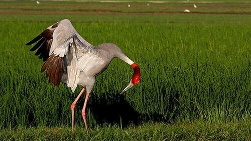 Sổ tay du lịch so tay du lich Sotaydulich Sotay Dulich Khampha Kham Pha Bui Tham An Do chiem nguong ngan chim