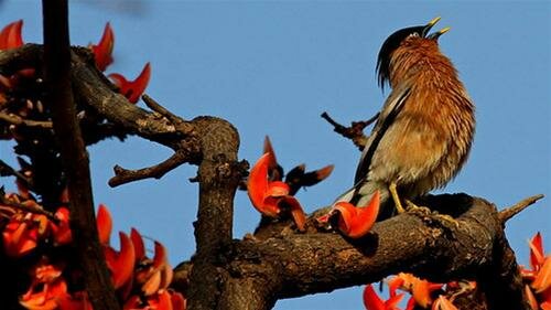 Sổ tay du lịch so tay du lich Sotaydulich Sotay Dulich Khampha Kham Pha Bui Tham An Do chiem nguong ngan chim