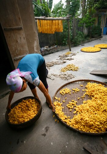 Sổ tay du lịch so tay du lich Sotaydulich Sotay Dulich Khampha Kham Pha Bui Nghe to tam o Phung Xa