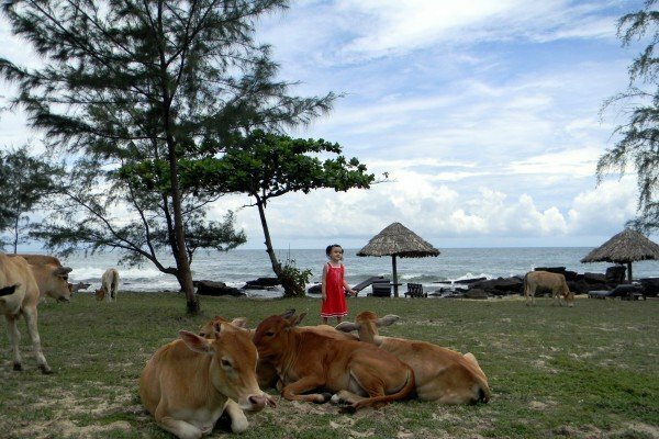 Sổ tay du lịch so tay du lich Sotaydulich Sotay Dulich Khampha Kham Pha Bui Ve nvoi thien nhien o Phu Quoc