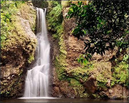 Sổ tay du lịch so tay du lich Sotaydulich Sotay Dulich Khampha Kham Pha Bui Den voi Mauritius xinh dep