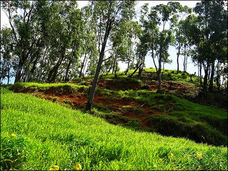 Sổ tay du lịch so tay du lich Sotaydulich Sotay Dulich Khampha Kham Pha Bui Den voi Mauritius xinh dep