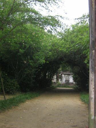 Sổ tay du lịch so tay du lich Sotaydulich Sotay Dulich Khampha Kham Pha Bui Doc dao nha vuon An Hien