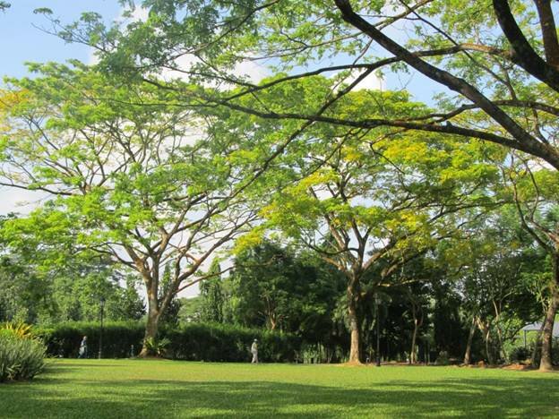 Sổ tay du lịch so tay du lich Sotaydulich Sotay Dulich Khampha Kham Pha Bui Hnh anh chuyen Offline thu vi vao thang 06 cung sotaydulich
