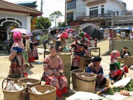 Sổ tay du lịch so tay du lich Sotaydulich Sotay Dulich Khampha Kham Pha Bui Nam chn chim Dac san quy gia cua Bac Ha