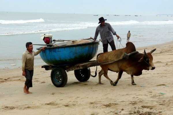 Sổ tay du lịch so tay du lich Sotaydulich Sotay Dulich Khampha Kham Pha Bui Bai bien Mui Da o La Gi