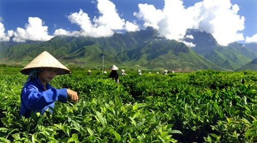 Sổ tay du lịch so tay du lich Sotaydulich Sotay Dulich Khampha Kham Pha Bui Nhon nhip mua hai che tuyet