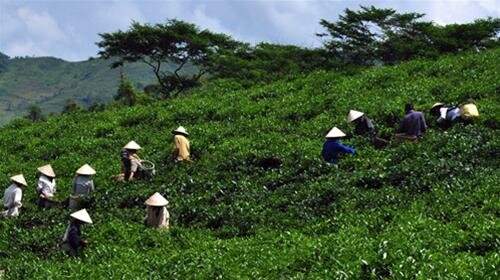 Sổ tay du lịch so tay du lich Sotaydulich Sotay Dulich Khampha Kham Pha Bui Nhon nhip mua hai che tuyet