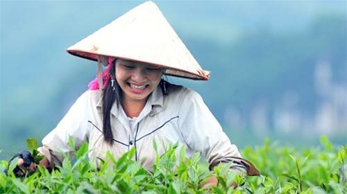 Sổ tay du lịch so tay du lich Sotaydulich Sotay Dulich Khampha Kham Pha Bui Nhon nhip mua hai che tuyet
