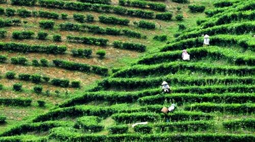 Sổ tay du lịch so tay du lich Sotaydulich Sotay Dulich Khampha Kham Pha Bui Nhon nhip mua hai che tuyet