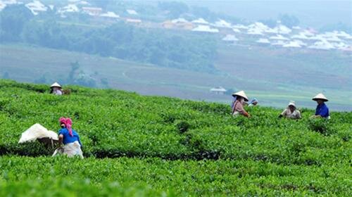 Sổ tay du lịch so tay du lich Sotaydulich Sotay Dulich Khampha Kham Pha Bui Nhon nhip mua hai che tuyet