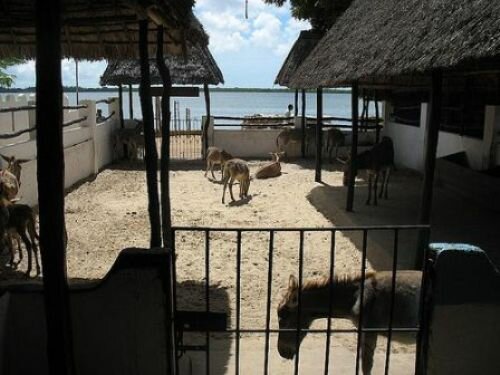 Sổ tay du lịch so tay du lich Sotaydulich Sotay Dulich Khampha Kham Pha Bui Thien duong hoa binh tren dao Lamu
