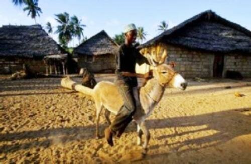 Sổ tay du lịch so tay du lich Sotaydulich Sotay Dulich Khampha Kham Pha Bui Thien duong hoa binh tren dao Lamu