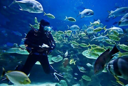 Sổ tay du lịch so tay du lich Sotaydulich Sotay Dulich Khampha Kham Pha Bui Thien duong hoa binh tren dao Lamu