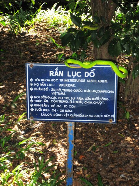 Sổ tay du lịch so tay du lich Sotaydulich Sotay Dulich Khampha Kham Pha Bui Tham bao tang ran lon nhat Viet Nam