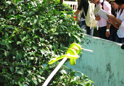 Sổ tay du lịch so tay du lich Sotaydulich Sotay Dulich Khampha Kham Pha Bui Tham bao tang ran lon nhat Viet Nam
