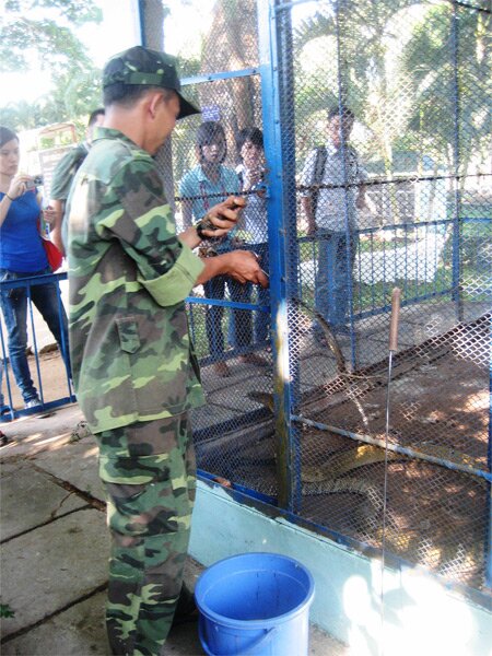 Sổ tay du lịch so tay du lich Sotaydulich Sotay Dulich Khampha Kham Pha Bui Tham bao tang ran lon nhat Viet Nam