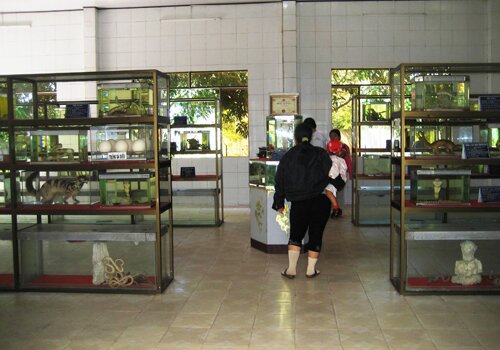 Sổ tay du lịch so tay du lich Sotaydulich Sotay Dulich Khampha Kham Pha Bui Tham bao tang ran lon nhat Viet Nam