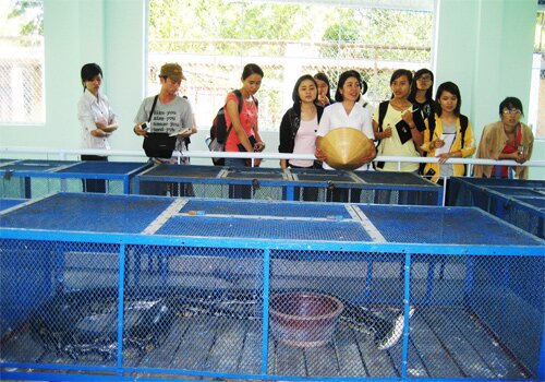 Sổ tay du lịch so tay du lich Sotaydulich Sotay Dulich Khampha Kham Pha Bui Tham bao tang ran lon nhat Viet Nam