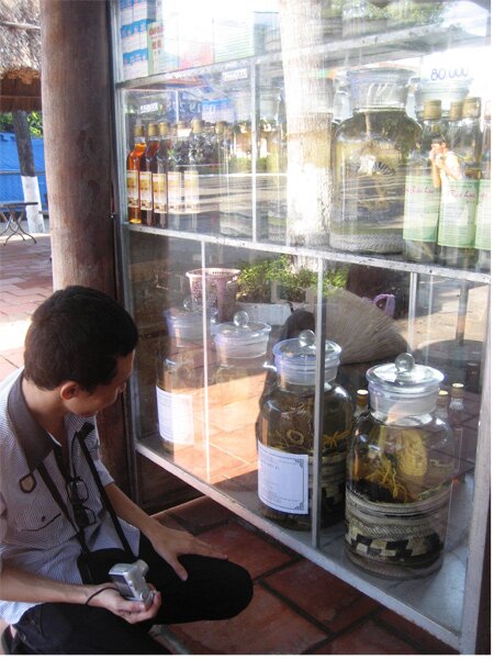 Sổ tay du lịch so tay du lich Sotaydulich Sotay Dulich Khampha Kham Pha Bui Tham bao tang ran lon nhat Viet Nam