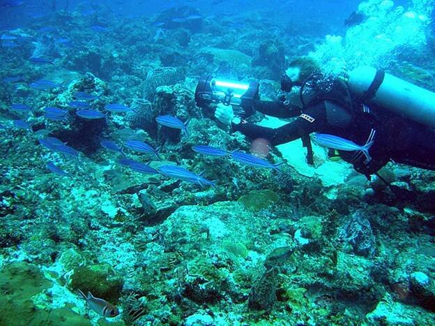 Sổ tay du lịch so tay du lich Sotaydulich Sotay Dulich Khampha Kham Pha Bui Tour tham quan Vinh Đá ngầm Buccoo 