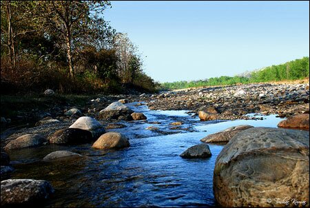 Sổ tay du lịch so tay du lich Sotaydulich Sotay Dulich Khampha Kham Pha Bui Vuon quoc gia Jim Corbett