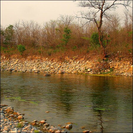Sổ tay du lịch so tay du lich Sotaydulich Sotay Dulich Khampha Kham Pha Bui Vuon quoc gia Jim Corbett