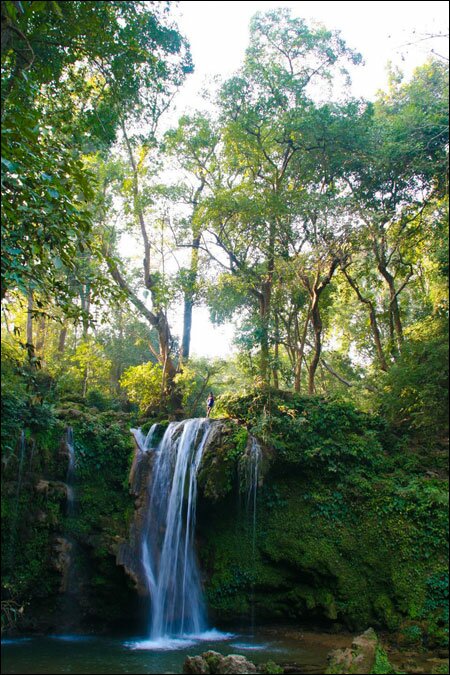 Sổ tay du lịch so tay du lich Sotaydulich Sotay Dulich Khampha Kham Pha Bui Vuon quoc gia Jim Corbett