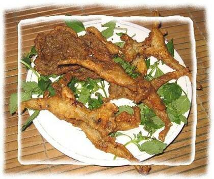 Sổ tay du lịch so tay du lich Sotaydulich Sotay Dulich Khampha Kham Pha Bui Cha nhai mon an ngon cua lang Phung Thuong